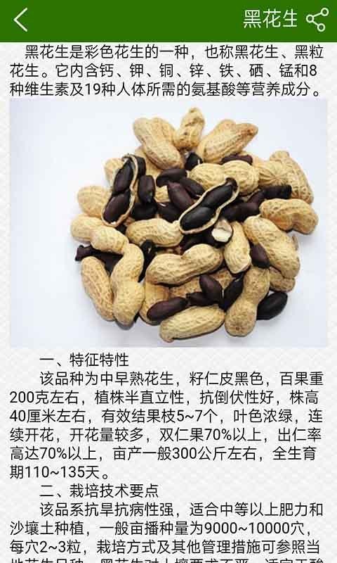 溆浦特色