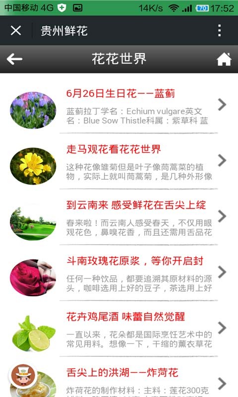 贵州鲜花